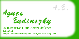 agnes budinszky business card